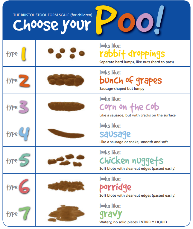 Amazing Bristol Stool Scale Poster of all time Don t miss out | stoolz